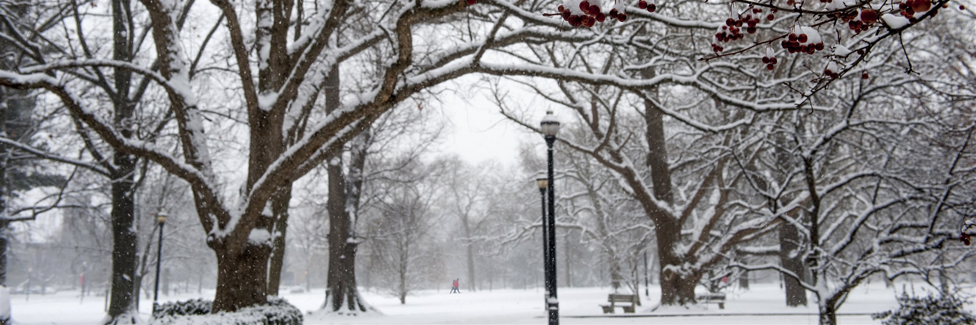 The Oval during a winter snow.